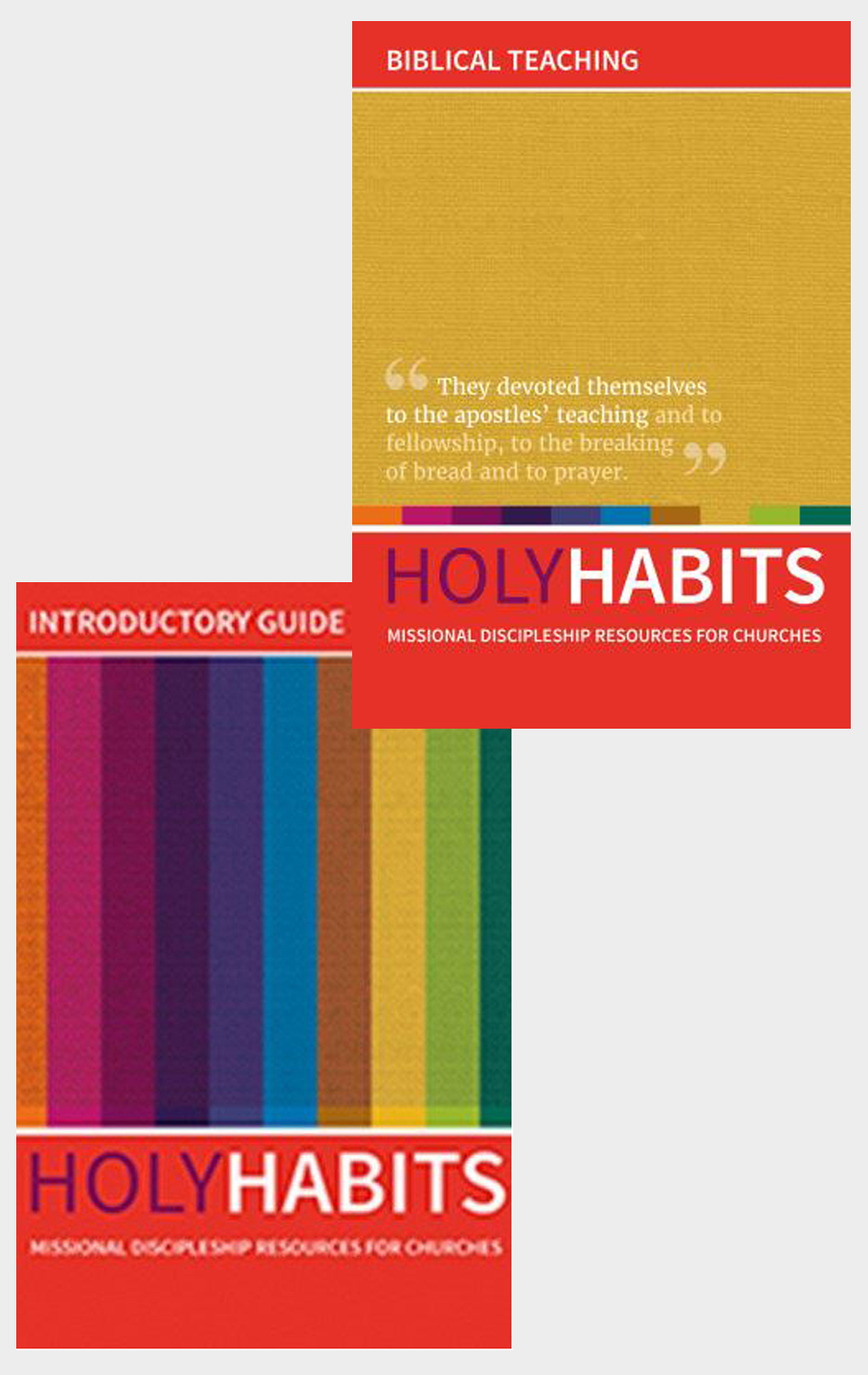 Holy Habits Introductory Guide and Biblical Teaching